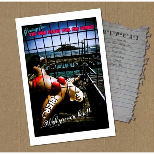 Various - You Flexi Thing Vol 11 - Im Too Flexi For My Shirt