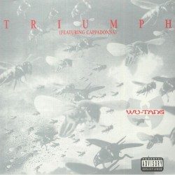 Wu-Tang Clan Feat CappaDonna - Triumph
