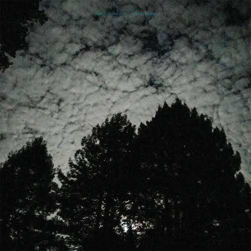 Carlton Melton - Night Pillers