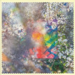 Four Tet - Sixteen Oceans