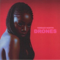 Terrace Martin - Drones