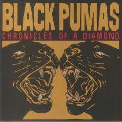 Black Pumas - Chronicles Of A Diamond