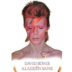 David Bowie  - Ziggy Stardust 7