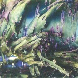 Polypores - Multizonal Mindscramble