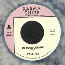 Pale Jay - In Your Corner