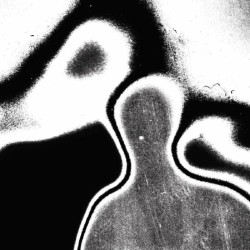 Lunacy - Universal Pressure Ep