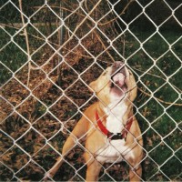 Knocked Loose - Pop Culture