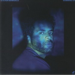 Steven Bamidele - Summing Up
