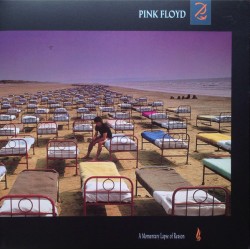 Pink Floyd - A Momentary Lapse Of Reason