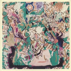 Mild High Club - Going Going Gone