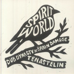 Brain Damage Feat Tenastelin / Dub Dynasty - Spirit World