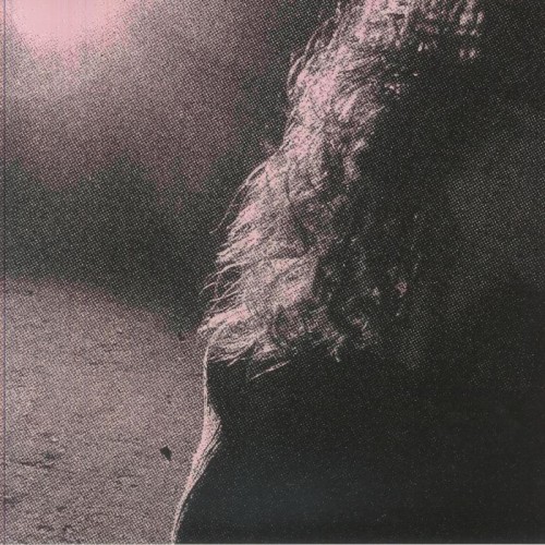 Venturing - Ghostholding