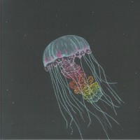 The Drowning World / Response - Passive Margins