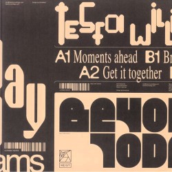 Tesfa Williams - Beyond Today Ep