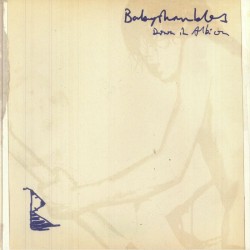 Babyshambles - Down In Albion (20th Anniversary Edition)