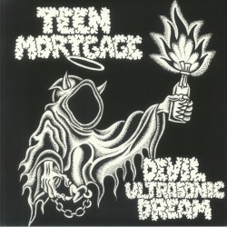 Teen Mortgage - Devil Ultrasonic Dream