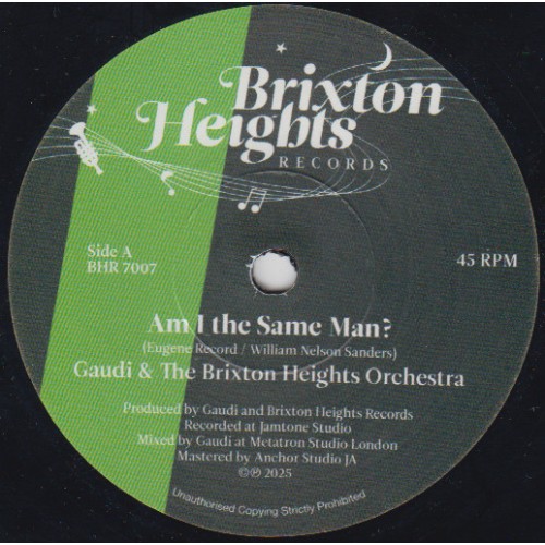 Gaudi & Brixton Heights Orchestra - Am I The Same Man?