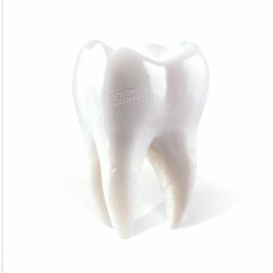 Porij - Teething