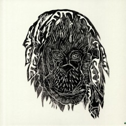 Alpha Steppa - Raise The Ark