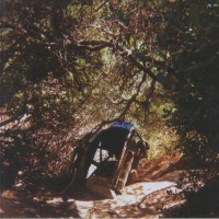 Ty Segal - Possession