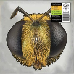 King Gizzard And The Lizard Wizard - Big Fig Wasp