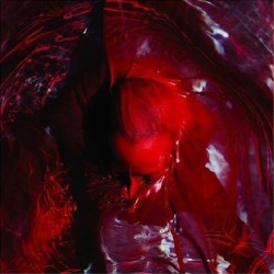 Blackwater Holylight - Not Here Not Gone