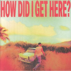Louis Tomlinson - How Did I Get Here?