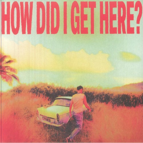 Louis Tomlinson - How Did I Get Here?