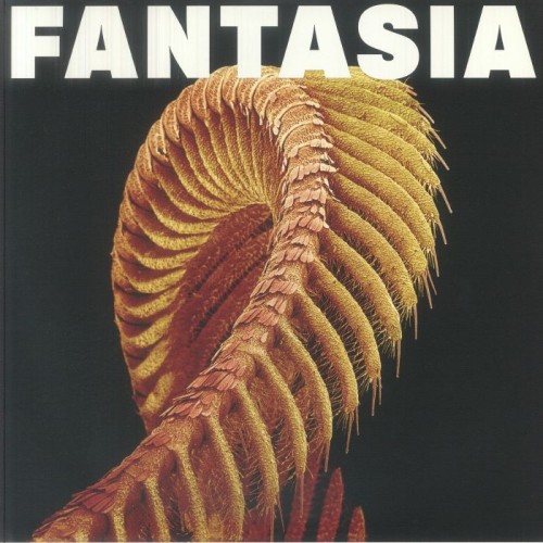 Slift - Fantasia