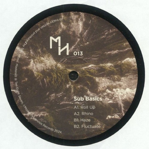 Sub Basics - Rhino Ep