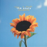 The Snuts - Joy In Short Moments