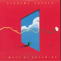 Alabama Shakes - I Must Be Dreaming