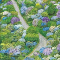 Fiddlehead - Between The Richness