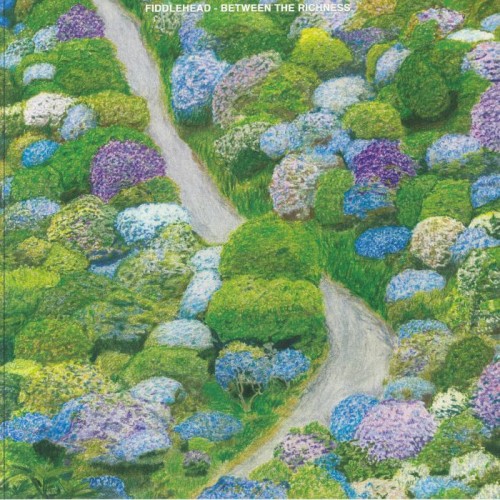 Fiddlehead - Between The Richness