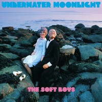 The Soft Boys - Underwater Moonlight (45th Anniversary Edition)