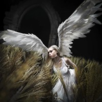 Erin LeCount - I Am Digital I Am Divine