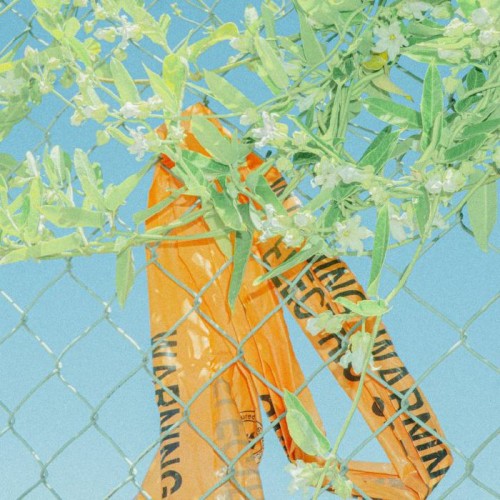 Lockstep - I Know What I Saw Lockstep - I Know What I Saw