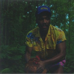 Childish Gambino - Bando Stone & The New World