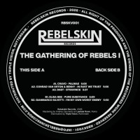 Various - Gathering Of Rebels Vol 1