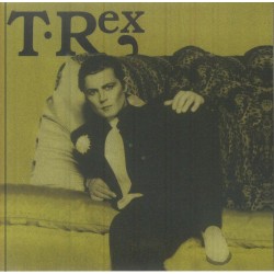 T Rex - Times They Are Strange
