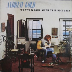 Andrew Gold - Whats Wrong With This Picture?
