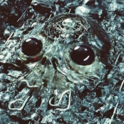 King Gizzard & The Lizard Wizard - Alien Metal
