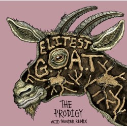 Sleaford Mods Feat Aldous Harding - Elitest GOAT (The Prodigy Acid Thunder Remix)