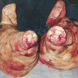 Armand Hammer & The Alchemist - Haram