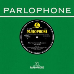 Paul Weller - When Your Gardens Overgrown (Live At The BBC)