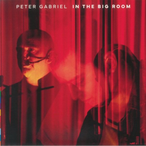 Peter Gabriel - In The Big Room