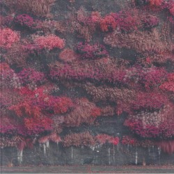 Sleep Token - Even In Arcadia