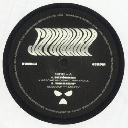 Kneecap - Sayonara / The Recap